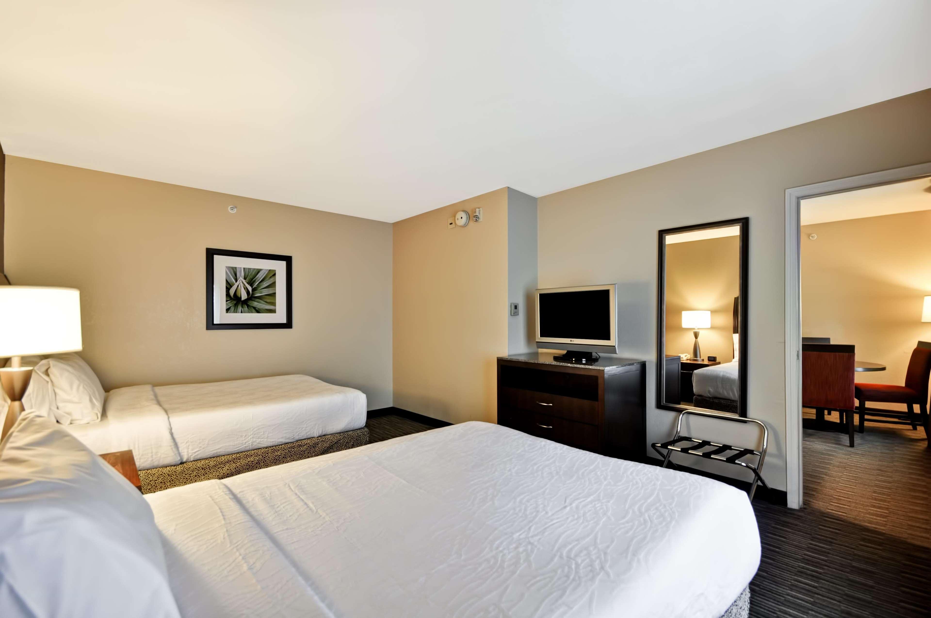 Temple Terrace Hilton Garden Inn Tampa North מראה חיצוני תמונה