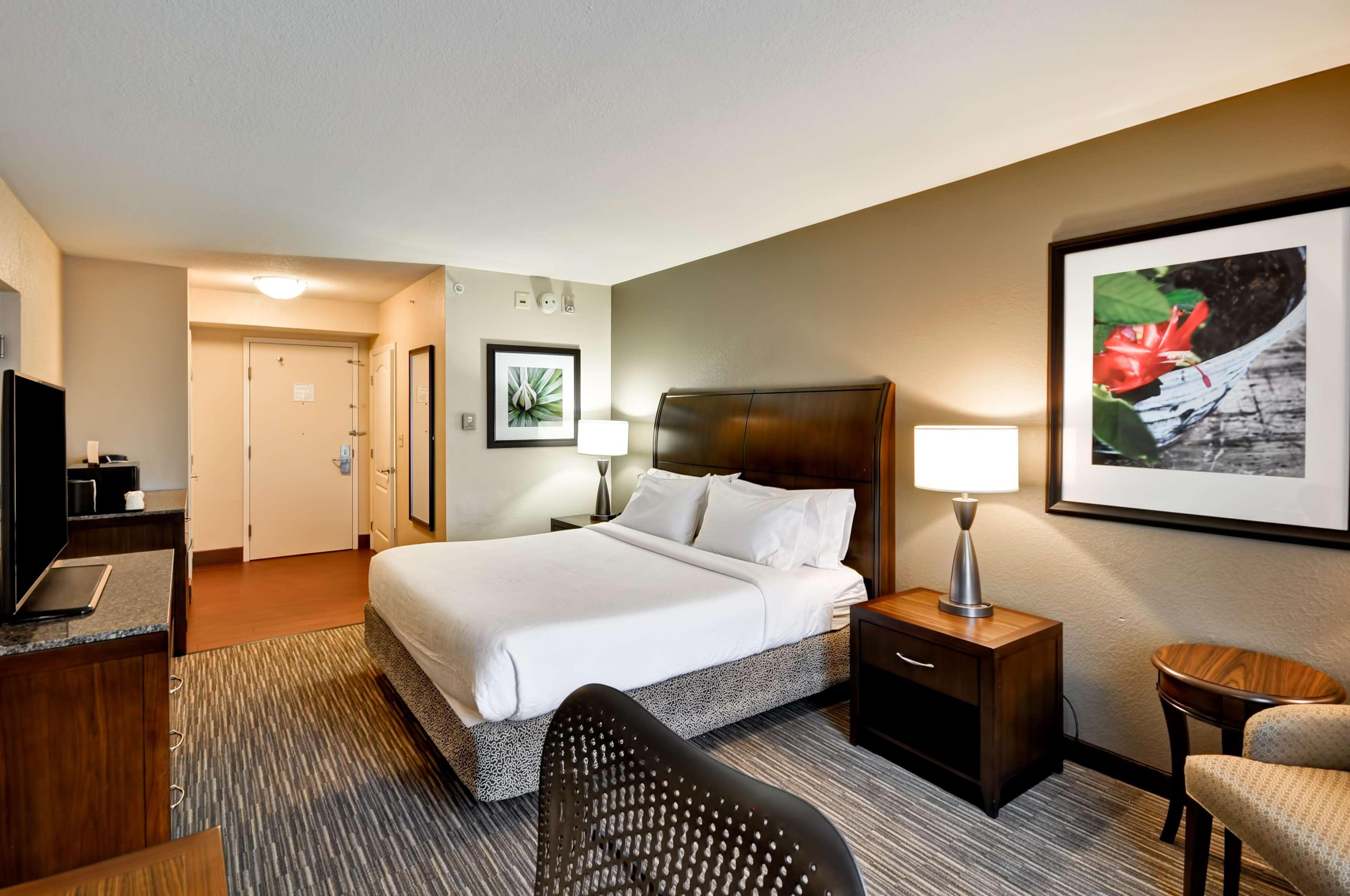 Temple Terrace Hilton Garden Inn Tampa North מראה חיצוני תמונה