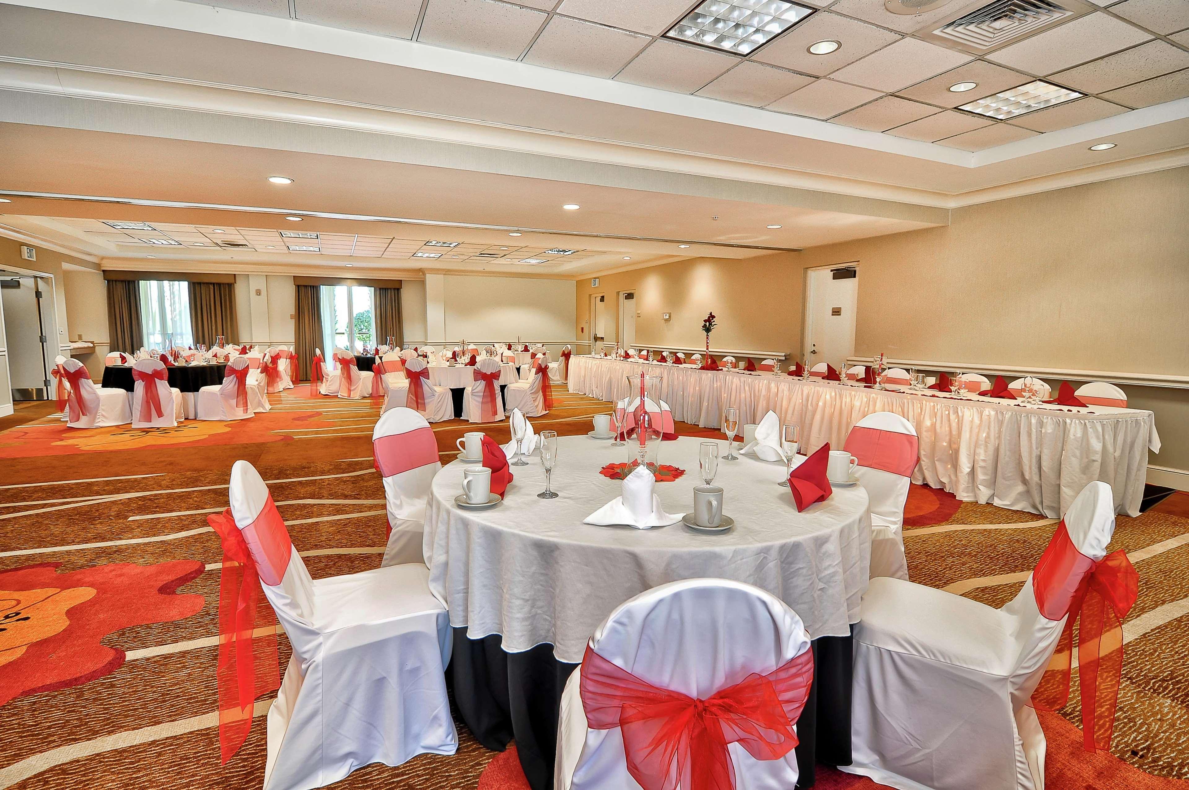 Temple Terrace Hilton Garden Inn Tampa North מראה חיצוני תמונה