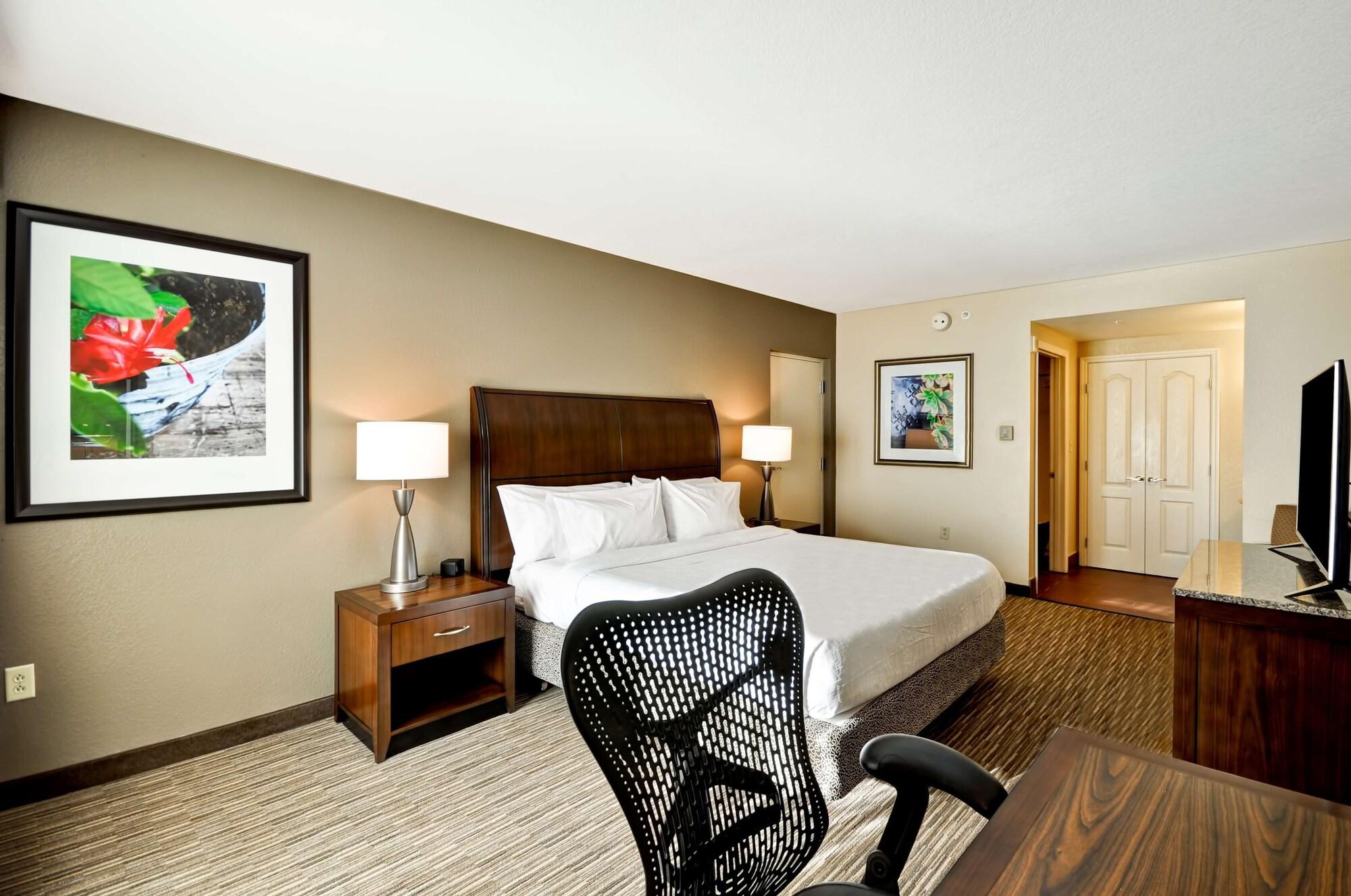 Temple Terrace Hilton Garden Inn Tampa North מראה חיצוני תמונה
