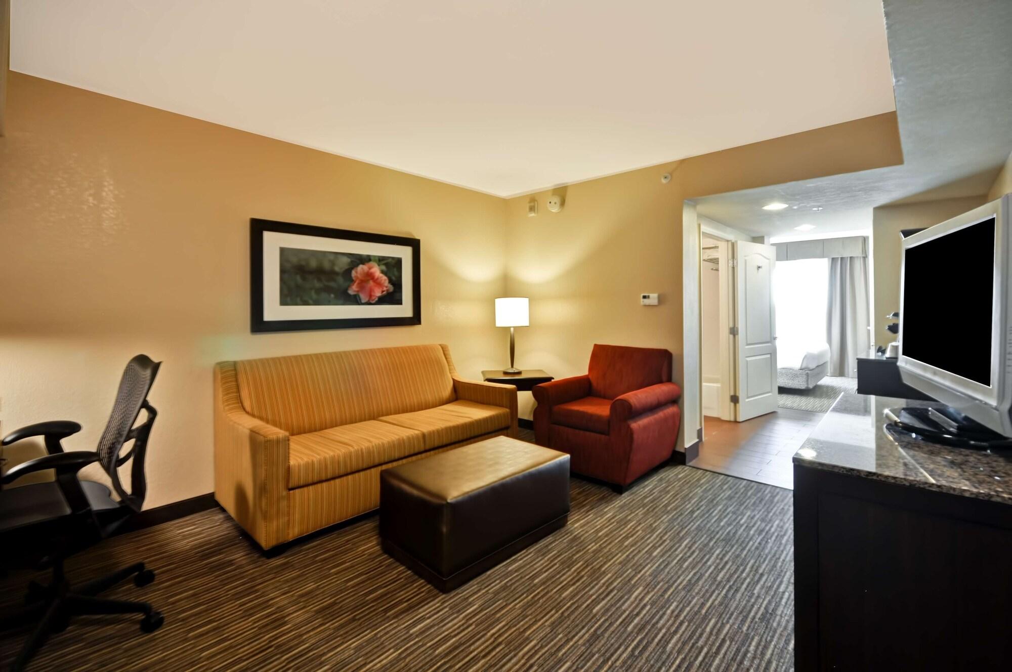 Temple Terrace Hilton Garden Inn Tampa North מראה חיצוני תמונה
