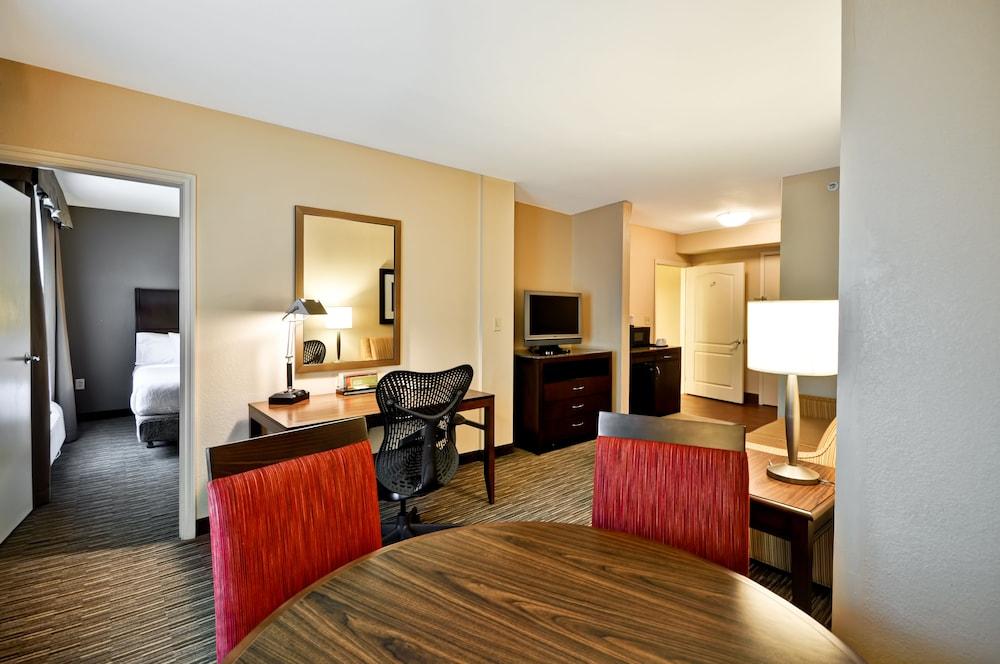 Temple Terrace Hilton Garden Inn Tampa North מראה חיצוני תמונה