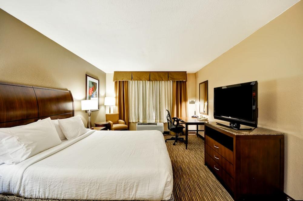Temple Terrace Hilton Garden Inn Tampa North מראה חיצוני תמונה