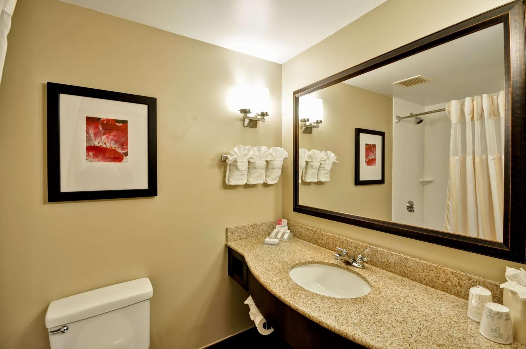 Temple Terrace Hilton Garden Inn Tampa North מראה חיצוני תמונה