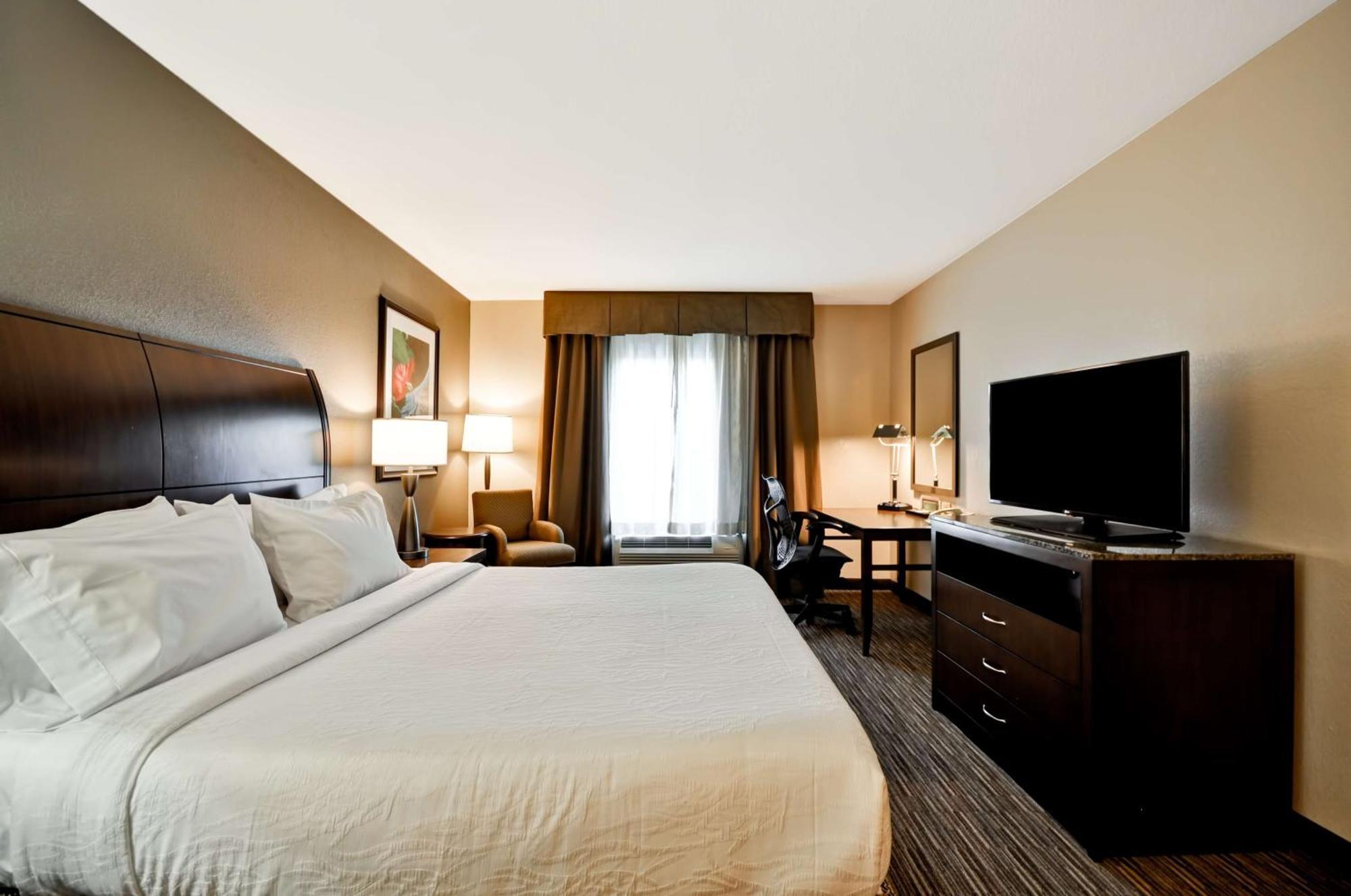 Temple Terrace Hilton Garden Inn Tampa North מראה חיצוני תמונה