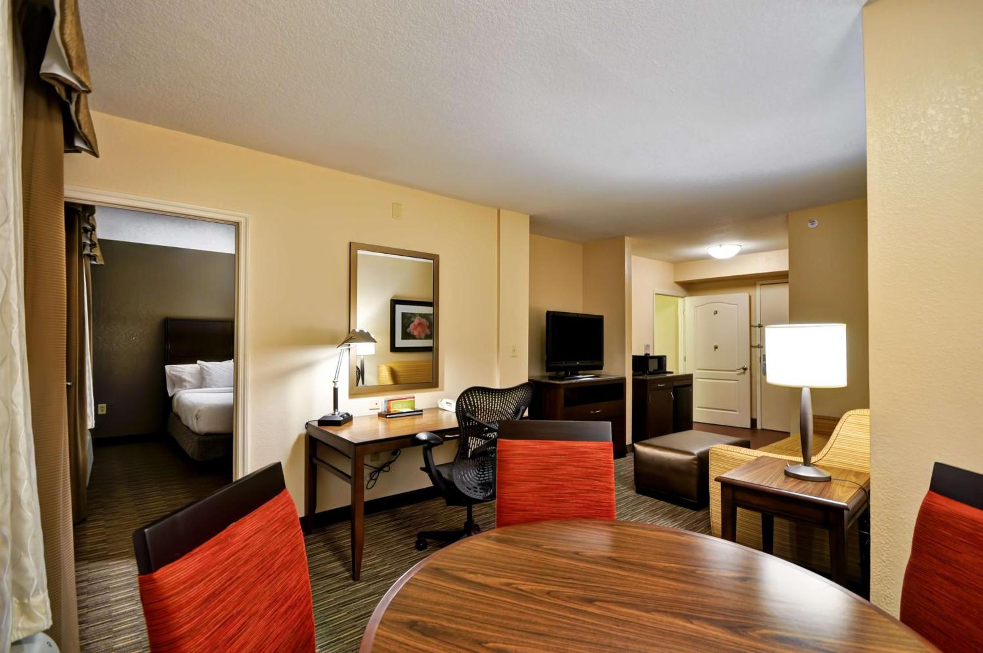 Temple Terrace Hilton Garden Inn Tampa North מראה חיצוני תמונה