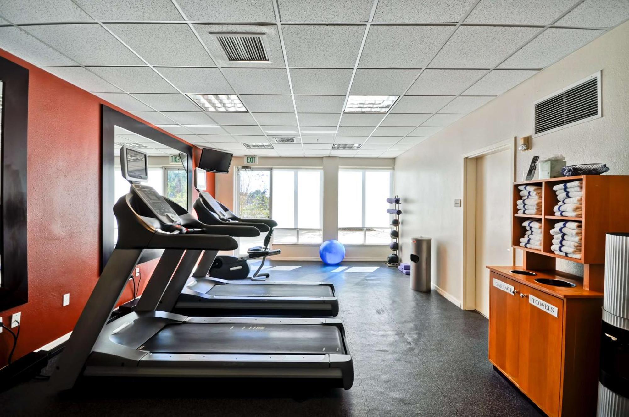 Temple Terrace Hilton Garden Inn Tampa North מראה חיצוני תמונה