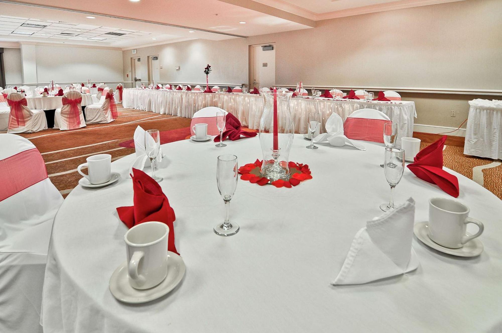 Temple Terrace Hilton Garden Inn Tampa North מראה חיצוני תמונה