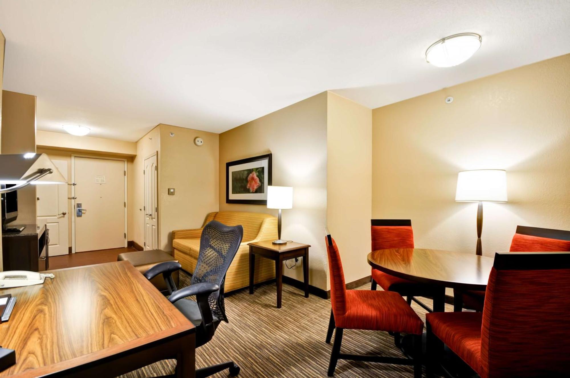 Temple Terrace Hilton Garden Inn Tampa North מראה חיצוני תמונה